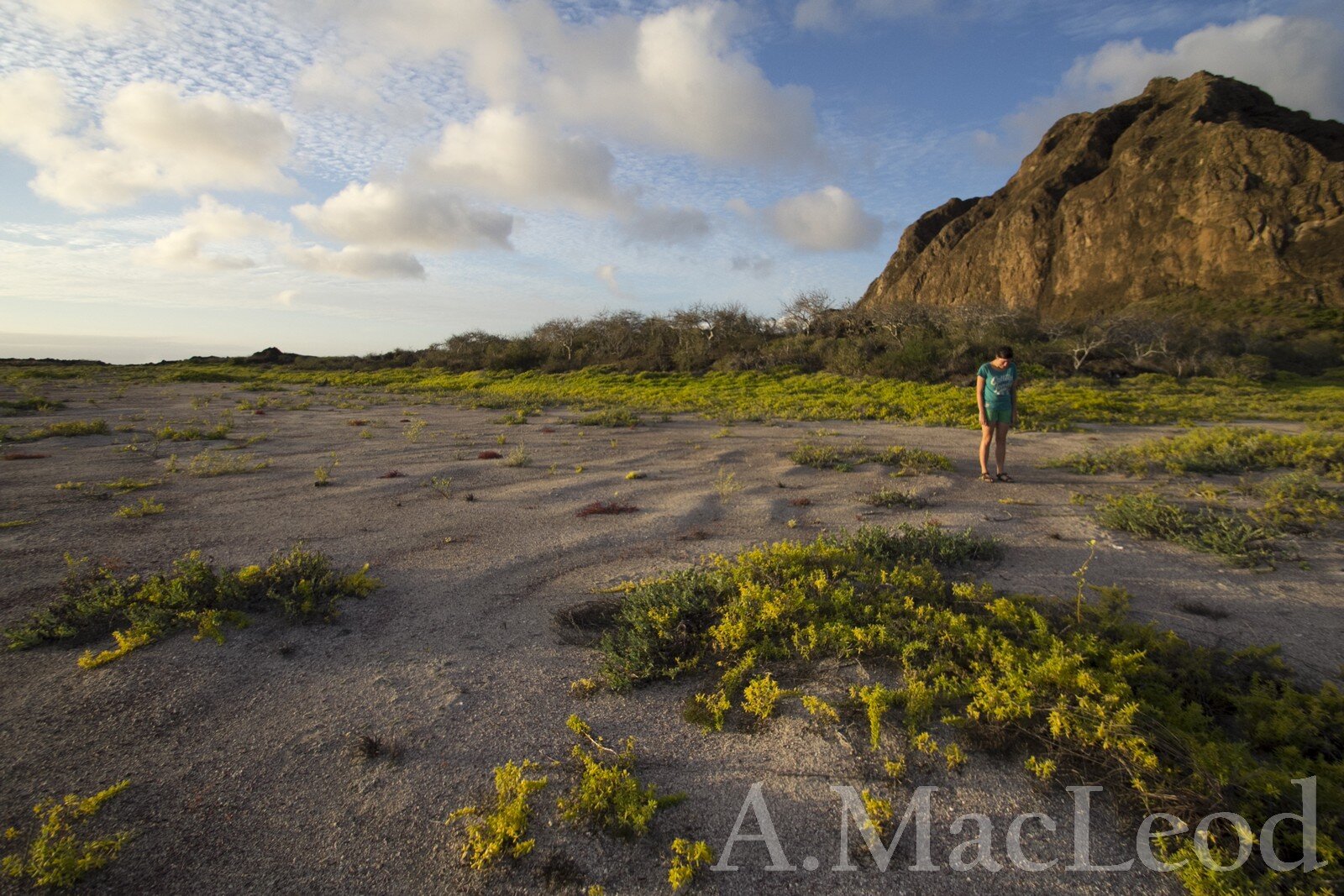 IMG_0007 - Copy_2013.jpg