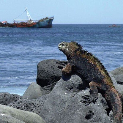 Photo credit: Howard Snell